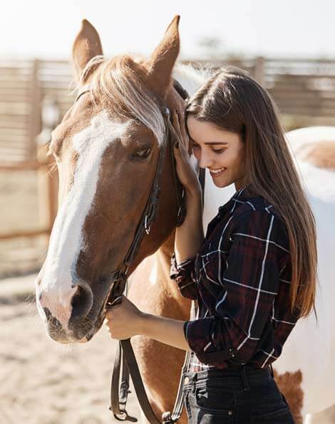 emotions with our trained animals