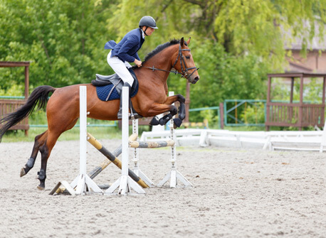 Equestrian Training