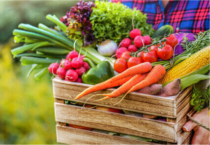 Farm Box