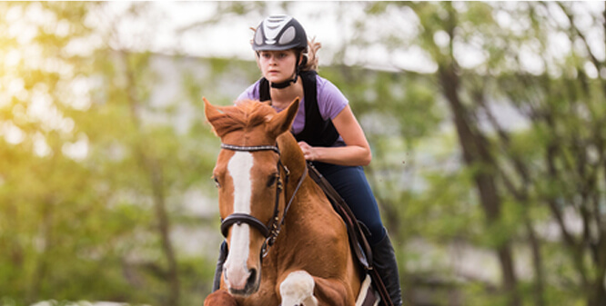 Horse Assisted Therapy