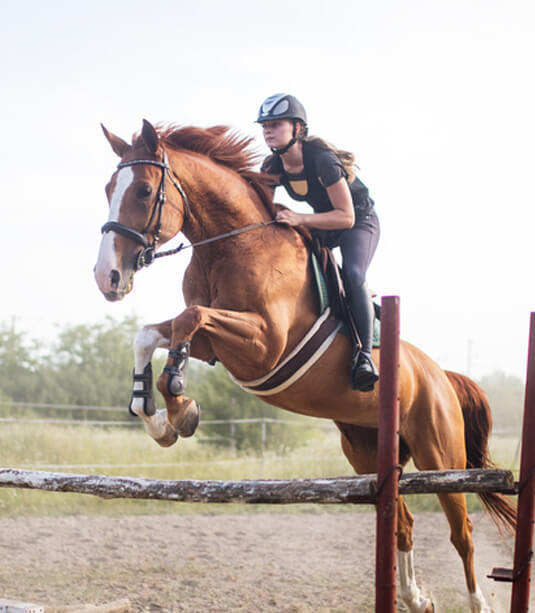 Riding School