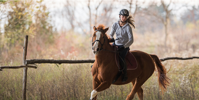 Trail Rides and Hacks