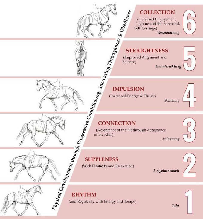 Training Scale