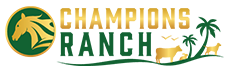 Championsranch Blog